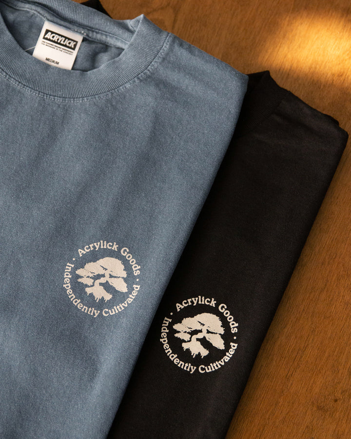 Illustration of a bonsai tree with spray paint drips over the roots, combining nature, street art, and independent creative growth.