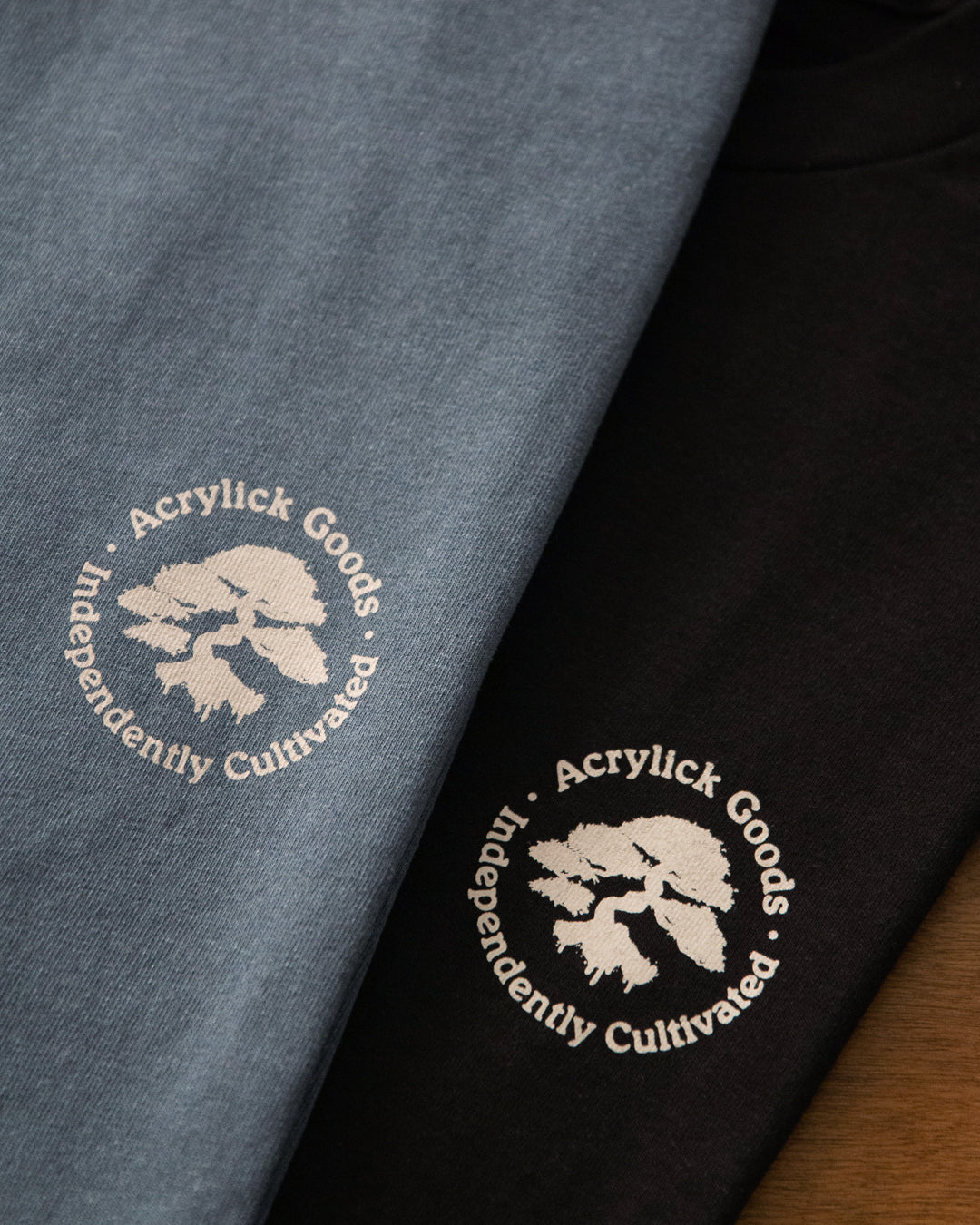 Illustration of a bonsai tree with spray paint drips over the roots, combining nature, street art, and independent creative growth.