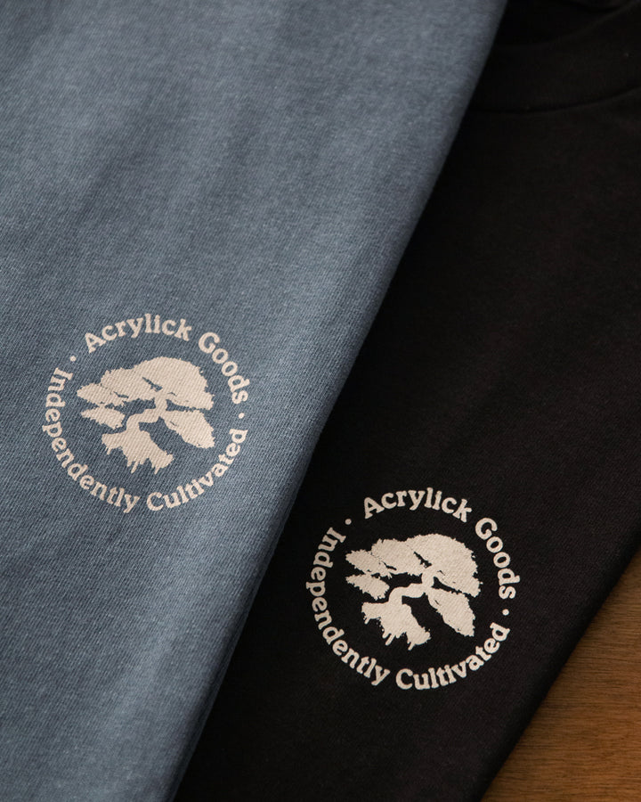 Illustration of a bonsai tree with spray paint drips over the roots, combining nature, street art, and independent creative growth.