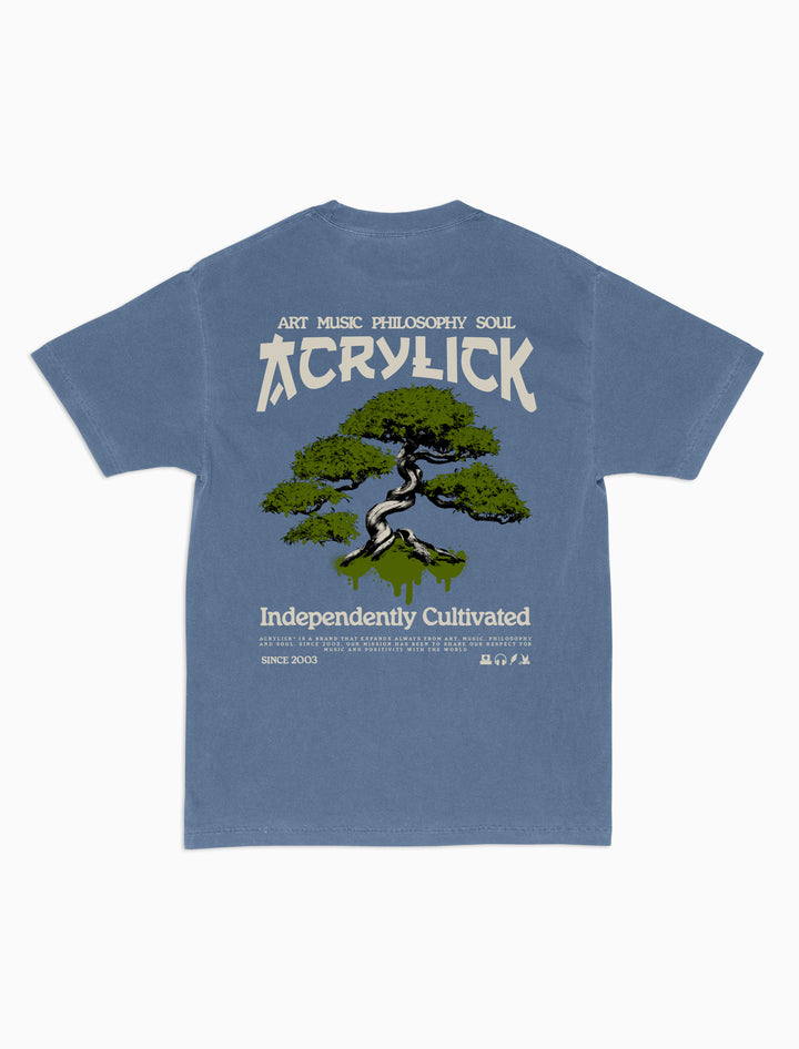 Illustration of a bonsai tree with spray paint drips over the roots, combining nature, street art, and independent creative growth.