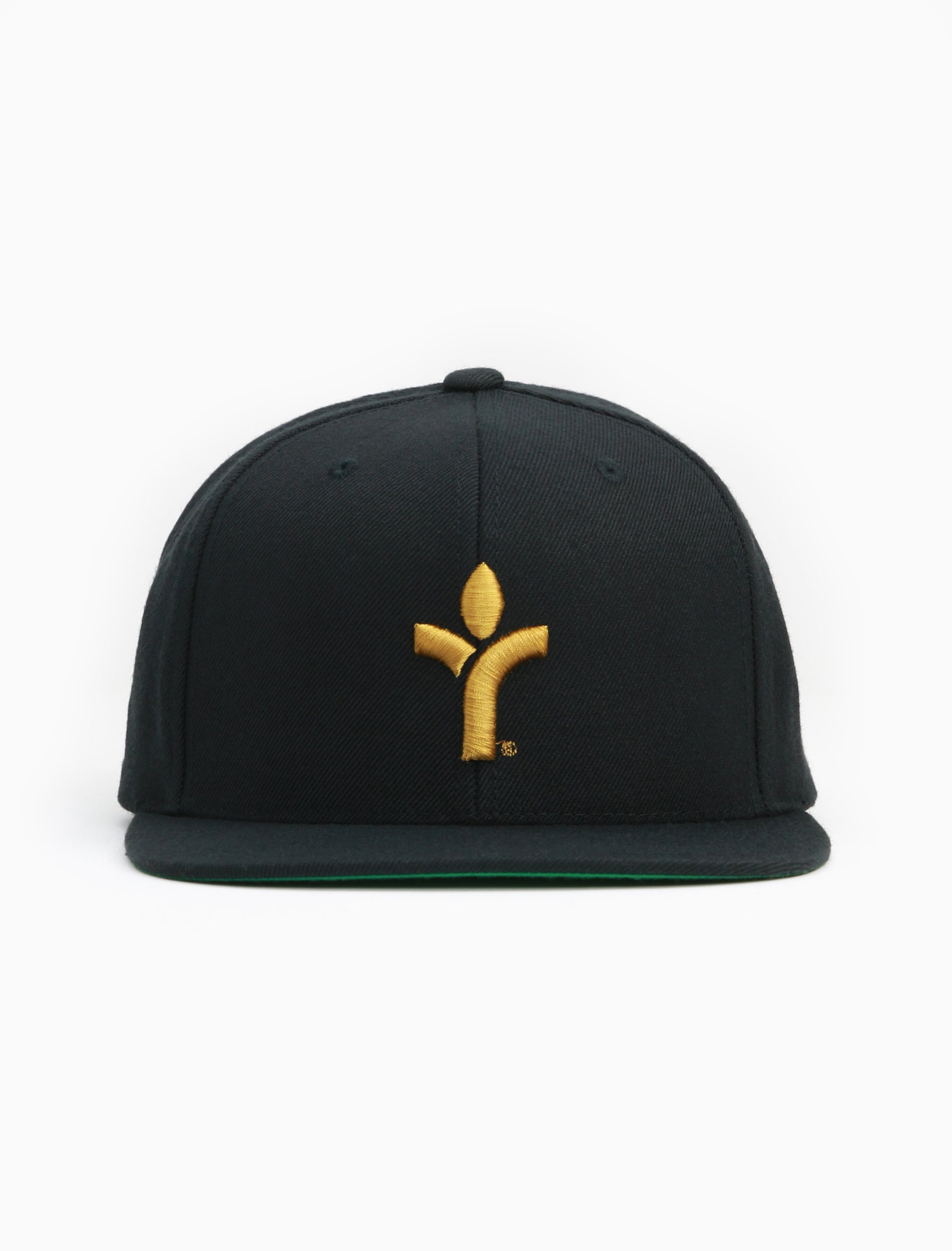 Acrylick Icon Snapback Cap - Black Cap with Gold Acrylick Icon