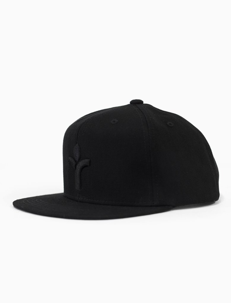 Icon Blacked Out Snapback (8411295561)